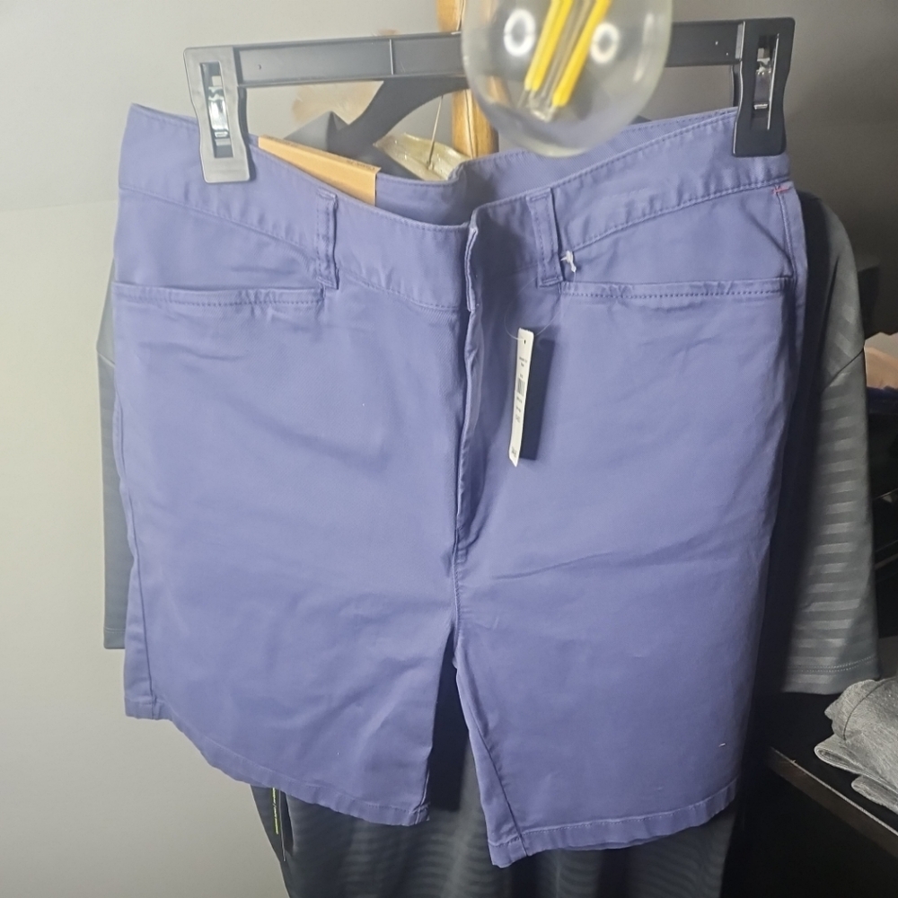 L.L. Bean Blue Casual Shorts